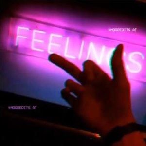 Meet your Posher, Donald